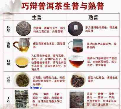 普洱茶：寒性还是热性？探究其性质以及适用人群