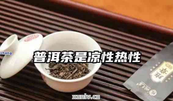 普洱茶：寒性还是热性？探究其性质以及适用人群