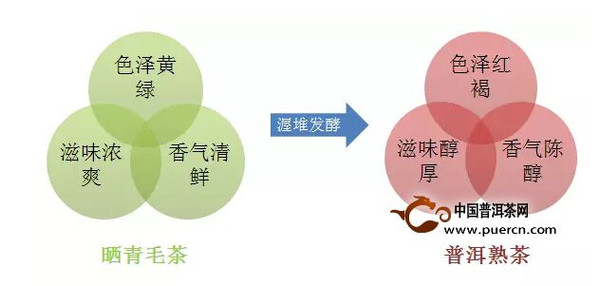 普洱茶的性质：究竟是凉性还是性？探讨其特点及适用人群