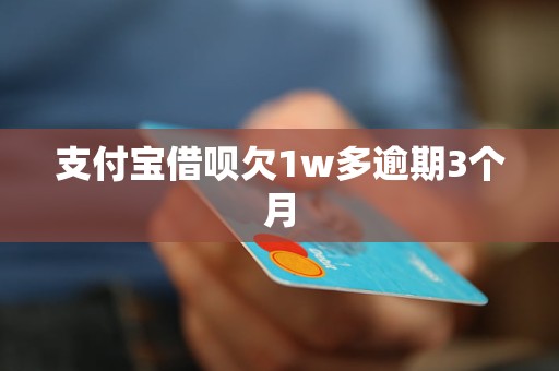 支付宝逾期一个月会有什么后果吗