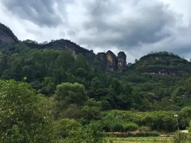 '标准正岩半岩洲茶的划分：武夷山岩茶正岩与半岩，洲茶分类说明'