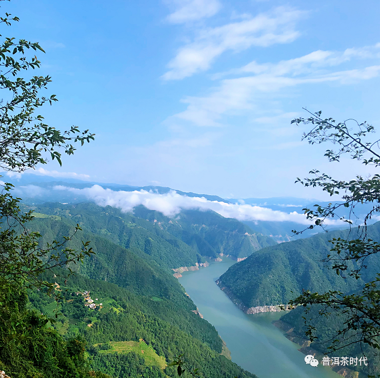 探索普洱茶山头三大茶区：产地、工艺与口感的完美融合