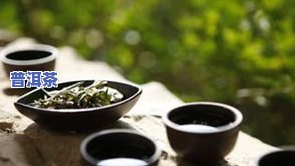 山西人喜欢的茶叶种类及特点：探究山西茶文化中的更爱