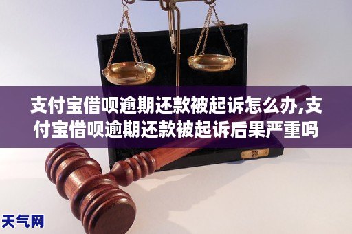 支付宝逾期还不起起诉了该怎么办