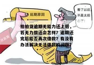 阳光e贷无力偿还会面临哪些后果