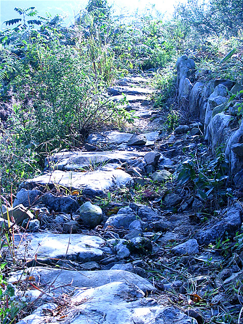 普洱茶韵：尘土岁月里的陈香古道