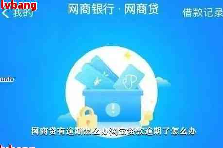 支付宝网商网商贷无力偿还该如何处理