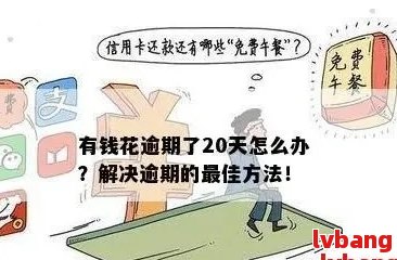 够花还款逾期应该怎么处理