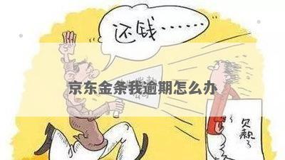 京东金条逾期怎么办应对措