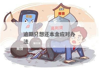 现金贷逾期了以后只还本金能解决吗