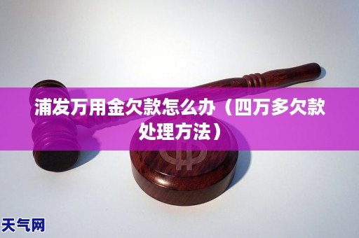 浦发万用金显示有欠款怎么处理