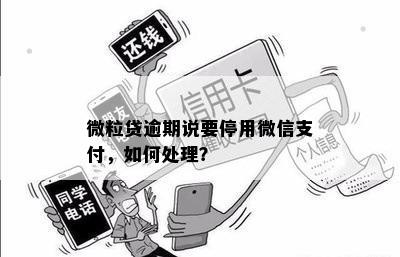 微立贷逾期支付封停怎么解决