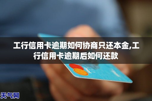 中行逾期如何协商还本金及利息