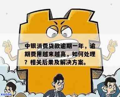 消费贷逾期一年了怎么办