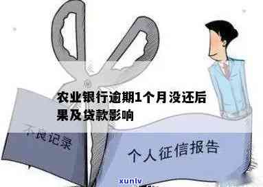 农贷逾期怎么办理期还款手续