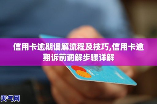 网商贷发短信起诉诉前调解流程详解