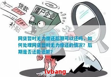 网贷平台暂时无力偿还借款怎么处理