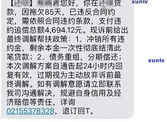 欠网贷60万还不上怎么办