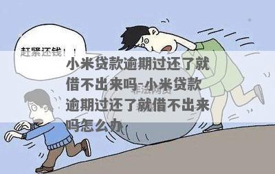 小米贷无力偿还后果严重吗