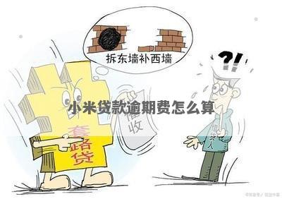 小米贷无力偿还后果严重吗