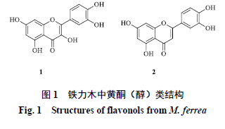 昔归茶中多酚的测定与分析