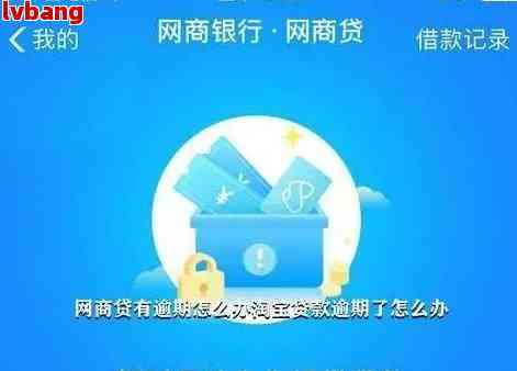 欠支付宝网商贷20万如何解决