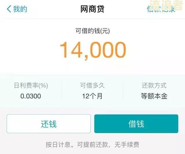 欠支付宝网商贷20万如何解决