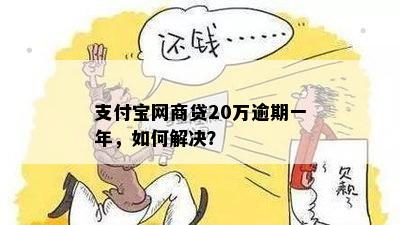 欠支付宝网商贷20万如何解决