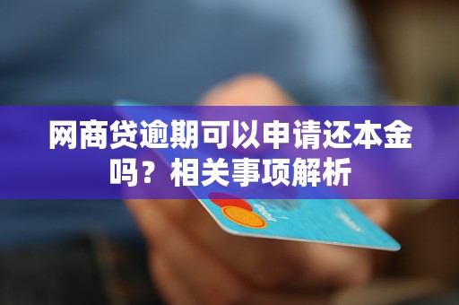 网商贷只还本金的流程是什么