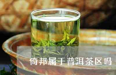 新 寻找那位专业普洱茶销售员——他的姓名与故事