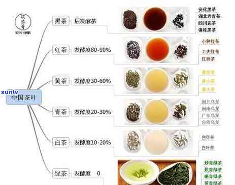 茶叶分类解析：黑茶、绿茶与红茶的特性、功效与口感对比