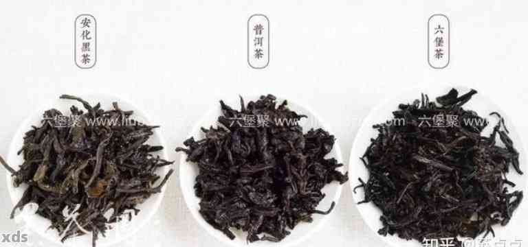 茶叶分类解析：黑茶、绿茶与红茶的特性、功效与口感对比