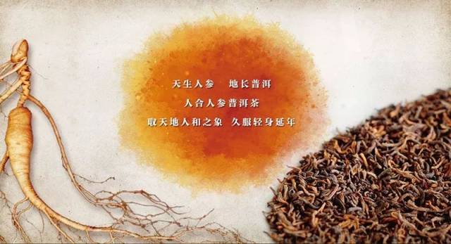 天然福祉：探寻人参普洱茶的独特魅力与健益处