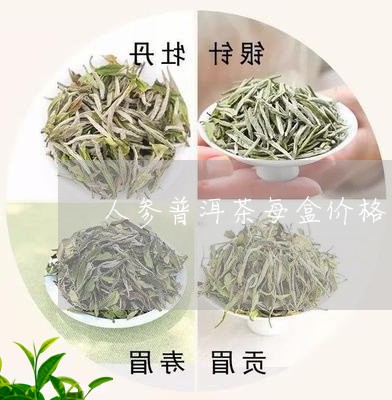 人参普洱茶是什么茶