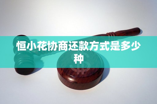 恒小花还款宽限期