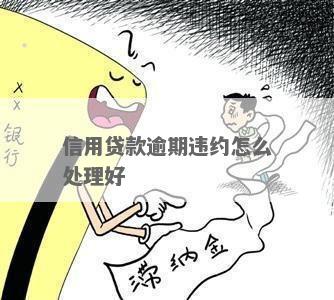 信用贷违约运行原理是什么