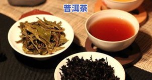 普洱茶的多重效应：为何品尝后会感到饥饿？