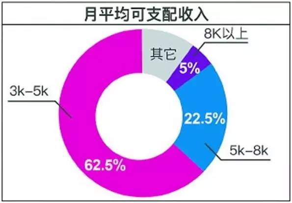 巴基斯坦小飞的财富状况：揭秘这位名人的真实经济实力与生活方式