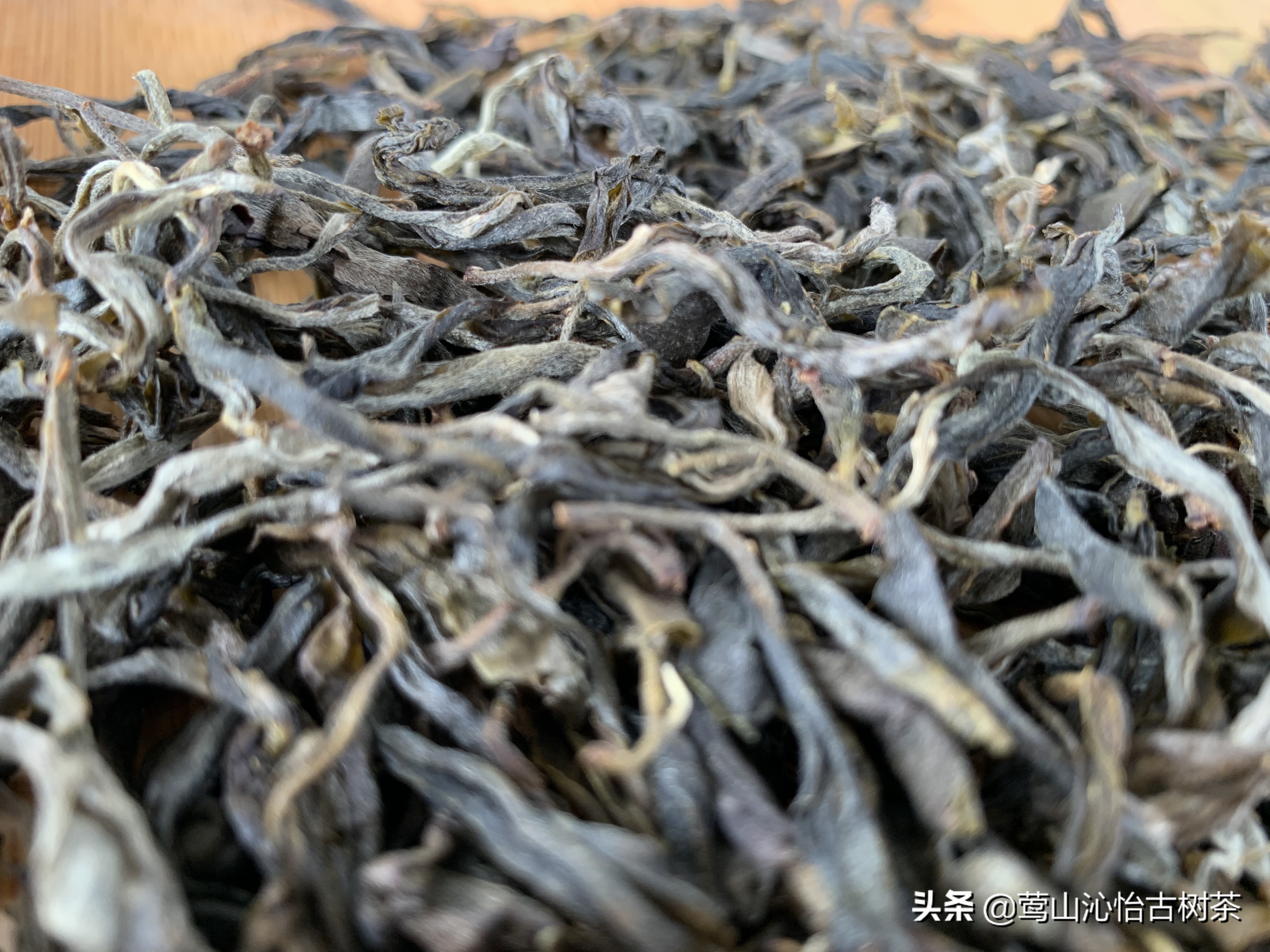 普洱茶饮后引发连续打嗝现象的原因及其科学解析