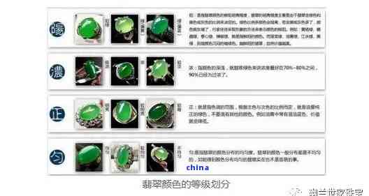 澳洲芙蓉翠：档次分析及相关产品评价