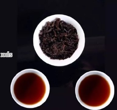 普洱茶：生茶与熟茶的口感与功效对比，你该选择哪一种？