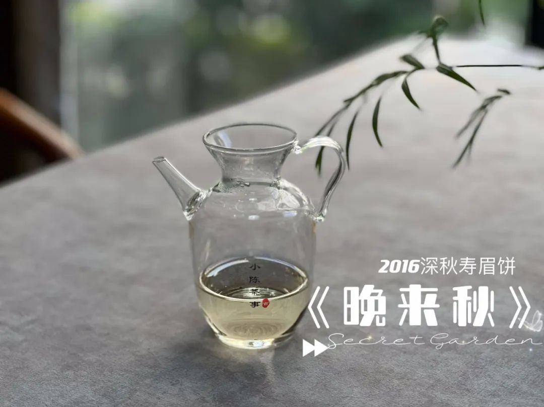 普洱茶和红茶减肥效果，哪种更有效？