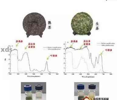 普洱茶保留酶活性的原因及作用机理：探究其对健的影响