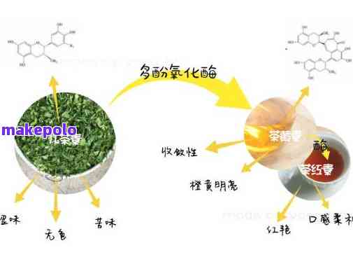 保留普洱茶酶活性的创新方法：探究技术与实践