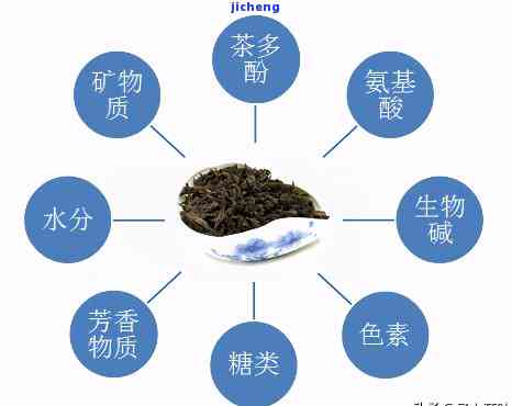 茶的特性与功能：了解茶叶的基本特点及其对人体的益处