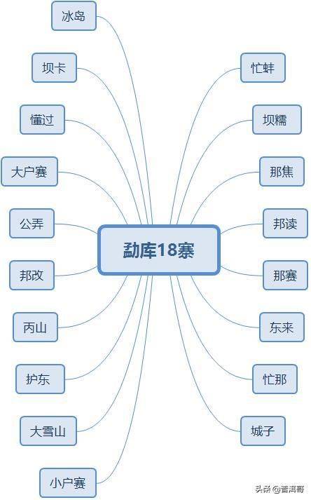 茶的特性与功能：了解茶叶的基本特点及其对人体的益处