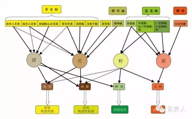 茶的特性与功能：了解茶叶的基本特点及其对人体的益处