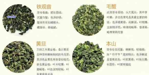 茶的特点和功能介绍：了解茶叶的基本特征以及对人体的益处。