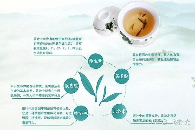 茶的特性和功能