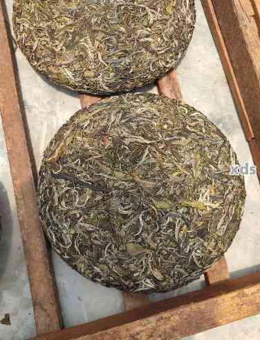 云南原生态普洱茶：珍稀云域恐龙化石主题饼茶